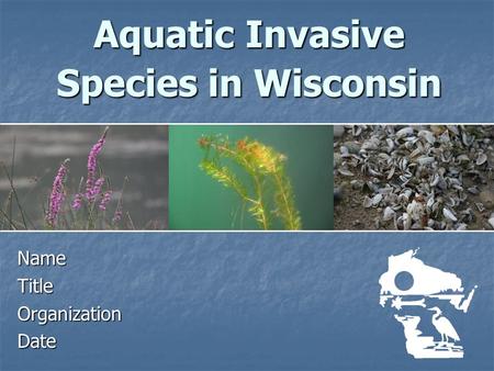 Aquatic Invasive Species in Wisconsin NameTitleOrganizationDate.