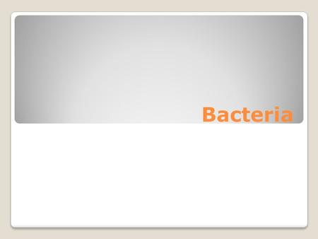 Bacteria. Bacteria Earth’s oldest life forms – between 3.5 and 3.8 billion years old Most abundant life form – up to 2.5 billion individual bacteria in.