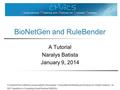 BioNetGen and RuleBender A Tutorial Naralys Batista January 9, 2014 Funding for this workshop was provided by the program “Computational Modeling and Analysis.