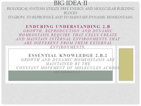 ENDURING UNDERSTANDING 2.B GROWTH, REPRODUCTION AND DYNAMIC HOMEOSTASIS REQUIRE THAT CELLS CREATE AND MAINTAIN INTERNAL ENVIRONMENTS THAT ARE DIFFERENT.