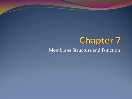 Membrane Structure and Function Plasma Membrane Flexible boundary separating living cell from nonliving surroundings Selectively permeable = choosy about.