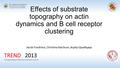 Effects of substrate topography on actin dynamics and B cell receptor clustering Jacob Fondriest, Christina Ketchum, Arpita Upadhyaya TREND 2013 Training.