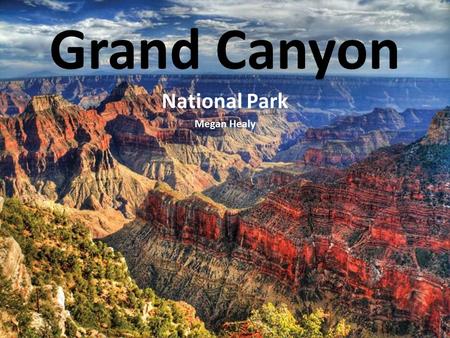 Grand Canyon National Park Megan Healy. Natural Area The Grand Canyon is to be considered a desert biome. The climate of the Grand Canyon varies widely.