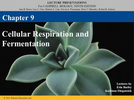 LECTURE PRESENTATIONS For CAMPBELL BIOLOGY, NINTH EDITION Jane B. Reece, Lisa A. Urry, Michael L. Cain, Steven A. Wasserman, Peter V. Minorsky, Robert.