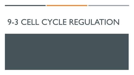 9-3 CELL CYCLE REGULATION. Normal Cell Cycle Proteins called cyclins bind to enzymes called cyclin- dependent kinases (CDK) and signal cell reproduction.