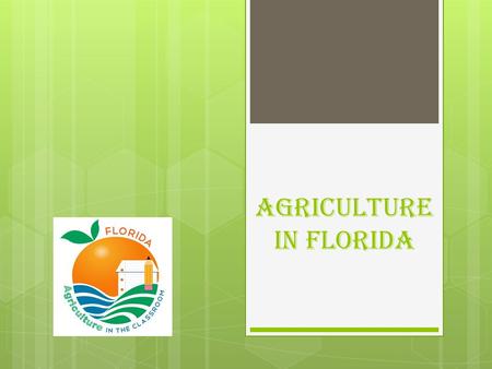 Agriculture In Florida.  13 th Ranked state in overall agricultural production.  1 st Ranked state in citrus production.  2 nd Ranked state in production.