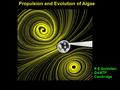 Propulsion and Evolution of Algae R E Goldstein DAMTP Cambridge.