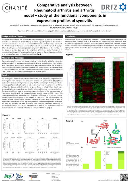 Comparative analysis between Rheumatoid arthritis and arthritis model – study of the functional components in expression profiles of synovitis Irene Ziska.