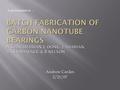 Andrew Cardes 2/21/07 A presentation of …. ATTRIBUTES POSSIBLE APPLICATIONS  Ultra-fast  Fatigue-free  Low friction  Varying resistance with telescoping.