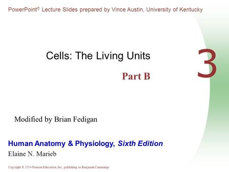 Copyright © 2004 Pearson Education, Inc., publishing as Benjamin Cummings Human Anatomy & Physiology, Sixth Edition Elaine N. Marieb PowerPoint ® Lecture.