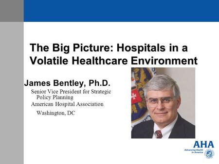 The Big Picture: Hospitals in a Volatile Healthcare Environment James Bentley, Ph.D. Senior Vice President for Strategic Policy Planning American Hospital.