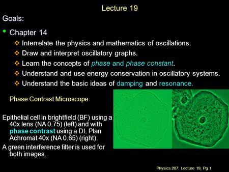 Physics 207: Lecture 19, Pg 1 Lecture 19Goals: Chapter 14 Chapter 14  Interrelate the physics and mathematics of oscillations.  Draw and interpret oscillatory.