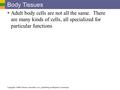 Copyright © 2006 Pearson Education, Inc., publishing as Benjamin Cummings Body Tissues  Adult body cells are not all the same. There are many kinds of.