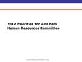 Human Resources Committee 2012 2012 Priorities for AmCham Human Resources Committee.