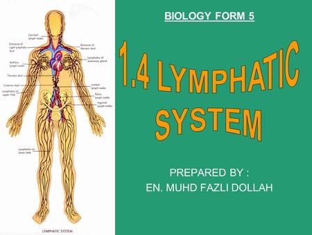 PREPARED BY : EN. MUHD FAZLI DOLLAH BIOLOGY FORM 5.