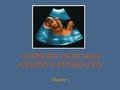 OVERVIEW OF HUMAN ANAOMY & PHYSIOLOGY Chapter 1. OVERVIEW Anatomy is the study of structure Physiology is the study of function Form follows function.