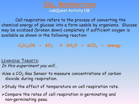 C ELL R ESPIRATION LabQuest Activity 11B Cell respiration refers to the process of converting the chemical energy of glucose into a form usable by organisms.