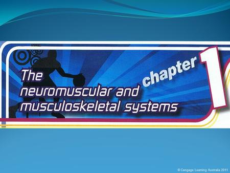 © Cengage Learning Australia 2011. skeletal system (bones and joints) skeletal (voluntary) muscle ligaments (connect bones to bones) tendons (connect.