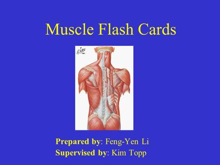 Muscle Flash Cards Prepared by: Feng-Yen Li Supervised by: Kim Topp.