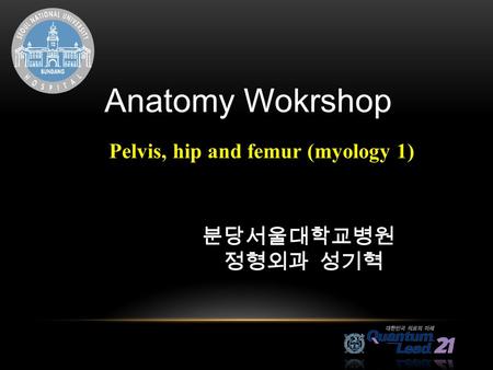 Anatomy Wokrshop Pelvis, hip and femur (myology 1) 분당서울대학교병원 정형외과 성기혁.