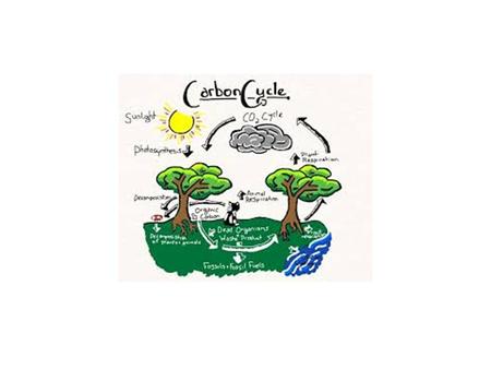 What is Carbon? Carbon is an element on the periodic table.