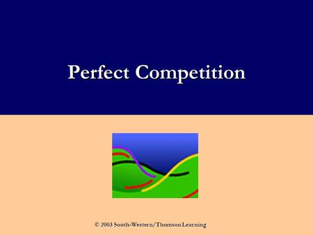 Perfect Competition © 2003 South-Western/Thomson Learning.