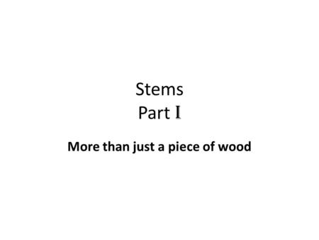 Stems Part I More than just a piece of wood. Main definition How would you define a plant stem?