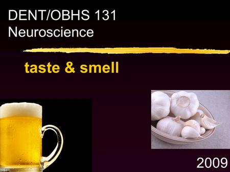 Taste & smell DENT/OBHS 131 Neuroscience 2009. Learning Objectives 1.Describe the cranial nerve / brainstem sensory innervation of the taste buds / tongue.