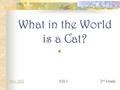 What in the World is a Cat? Mrs. HillMrs. Hill S2L1 2 nd Grade.