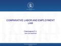 COMPARATIVE LABOR AND EMPLOYMENT LAW Chernyaeva D.V. Labor Law Department Высшая школа экономики, Москва, 2013 www.hse.ru.