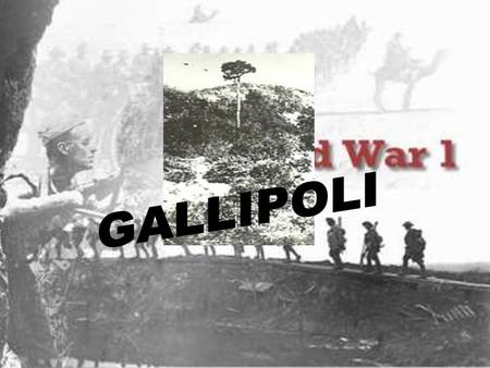 Why invade Turkey? ► remove one of Germany's most important allies (Ottoman Empire). ► Open the vital sea-route to Russia (helping Tsar Nicholas II).