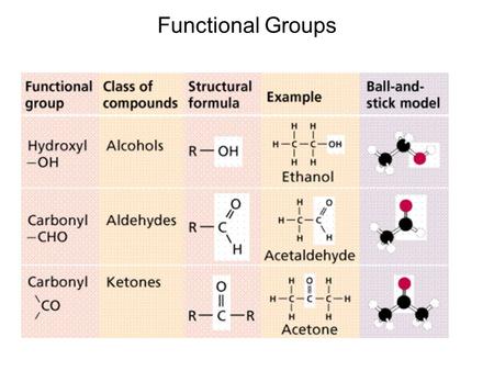 Functional Groups.