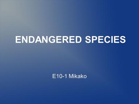 ENDANGERED SPECIES E10-1 Mikako. What is endangered species? Endangered species is a population of organisms which is facing a high risk of becoming extinct.