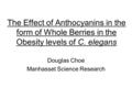 The Effect of Anthocyanins in the form of Whole Berries in the Obesity levels of C. elegans Douglas Choe Manhasset Science Research.