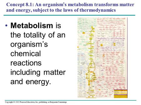 Copyright © 2005 Pearson Education, Inc. publishing as Benjamin Cummings Concept 8.1: An organism’s metabolism transforms matter and energy, subject to.