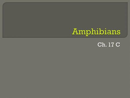 Ch. 17 C. amphibian  “amphibian” comes from a Greek word meaning “double life” Many amphibians start their lives in water and end up on land  Amphibians.