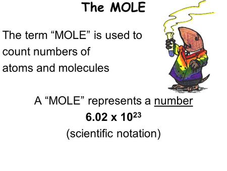 The MOLE The term “MOLE” is used to count numbers of atoms and molecules A “MOLE” represents a number 6.02 x 10 23 (scientific notation)