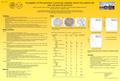 Investigation of CA9 expression in pulmonary metastatic lesions from patients with clear cell renal cell carcinoma Pierre Tennstedt 1, Peter Schneider.