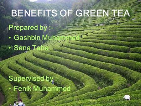 BENEFITS OF GREEN TEA Prepared by :- Gashbin Muhammed Sana Taha Supervised by :- Fenik Muhammed.