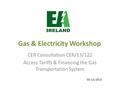 Gas & Electricity Workshop CER Consultation CER/13/122 Access Tariffs & Financing the Gas Transportation System 03 July 2013.