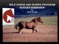 WILD HORSE AND BURRO PROGRAM BUDGET OVERVIEW by Holle’ Hooks.