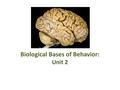 Biological Bases of Behavior: Unit 2. State of the Field Biological creatures – underlies all of psychology New findings at an exploding rate Focus on.