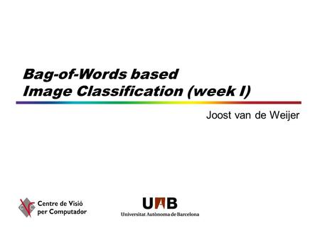 Bag-of-Words based Image Classification (week I) Joost van de Weijer.