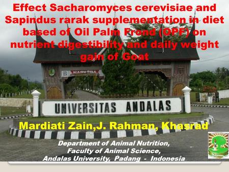 Mardiati Zain,J. Rahman, Khasrad Department of Animal Nutrition, Faculty of Animal Science, Andalas University, Padang - Indonesia Effect Sacharomyces.