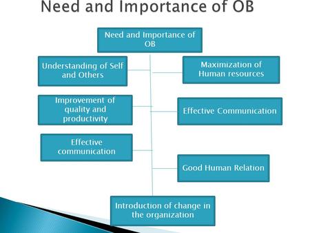 Need and Importance of OB Understanding of Self and Others Maximization of Human resources Improvement of quality and productivity Effective Communication.