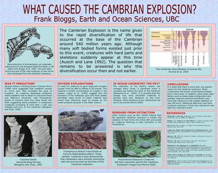 The Cambrian Explosion is the name given to the rapid diversification of life that occurred at the base of the Cambrian around 540 million years ago. Although.