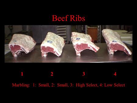 1 23 4 Marbling: 1: Small, 2: Small, 3: High Select, 4: Low Select Beef Ribs.