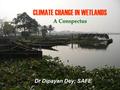 A Conspectus CLIMATE CHANGE IN WETLANDS A Conspectus Dr Dipayan Dey; SAFE.