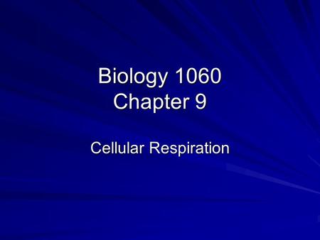 Biology 1060 Chapter 9 Cellular Respiration. Life is Work Compare and contrast energy and chemical elements in the environment and organisms Describe.