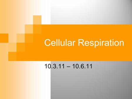 Cellular Respiration 10.3.11 – 10.6.11. Jammin’ to ATP Glucose, Glucose Oxidative Phosphorylation Check out www.science-groove.org/